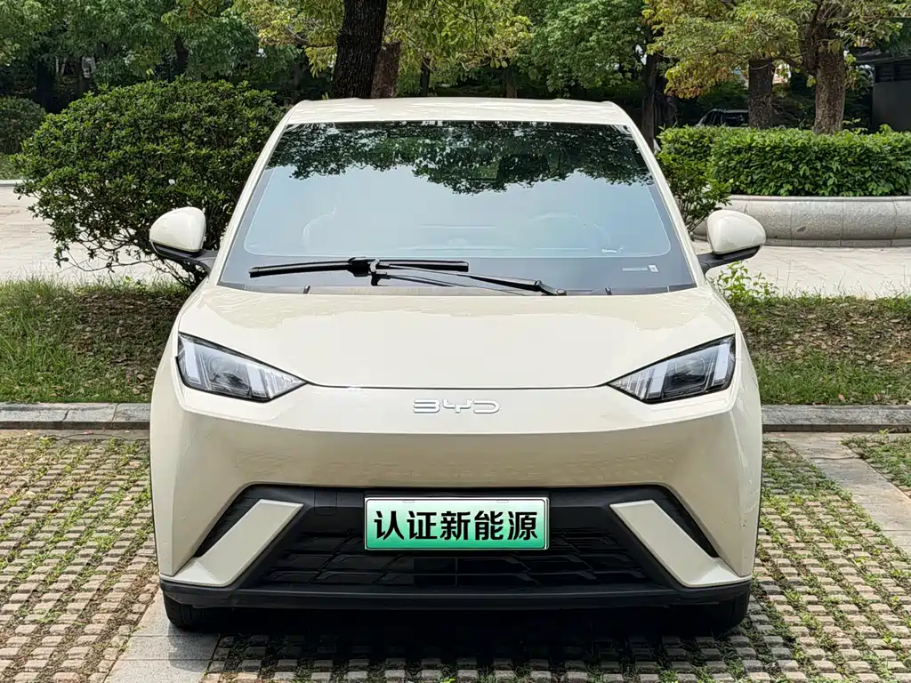 BYD BYD Seagull 2024 Honor Edition 305km Vitality 2024 - thumbnail 2