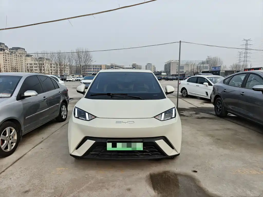 BYD BYD Seagull 2024 Honor Edition 405km Flying Edition 2024 - thumbnail 2