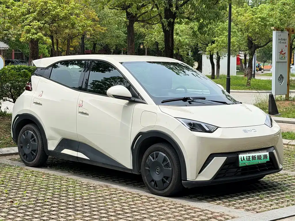 BYD BYD Seagull 2024 Honor Edition 305km Vitality 2024 - thumbnail 3