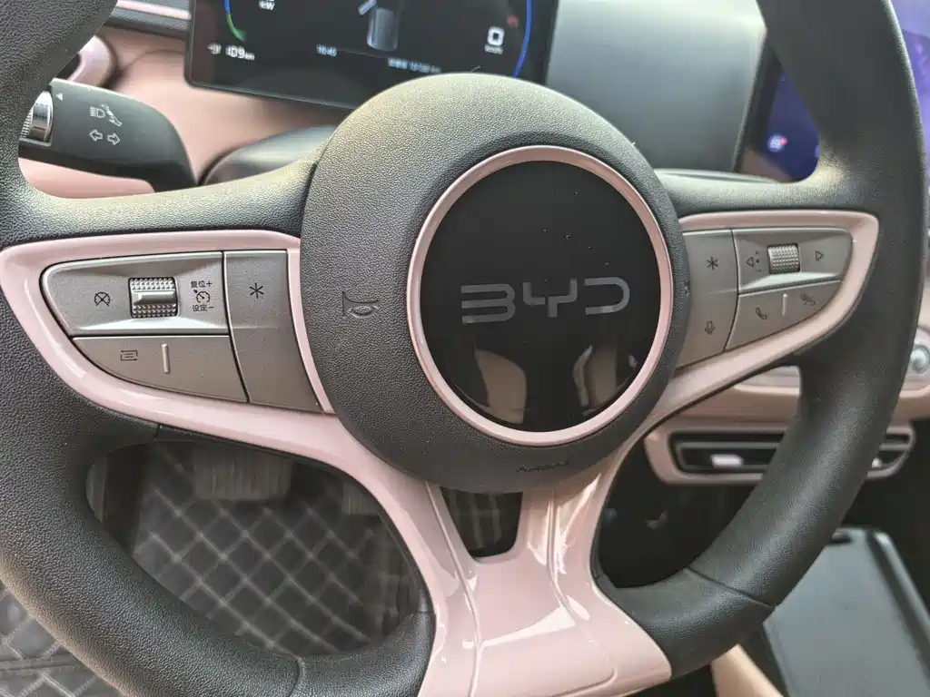 BYD Seagull 2025 305km Vitality Edition 2025 - thumbnail 10