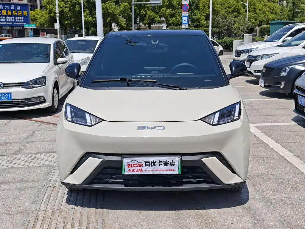 BYD Seagull 2024 Glory Edition 405km Flying Edition 2024 - thumbnail 2