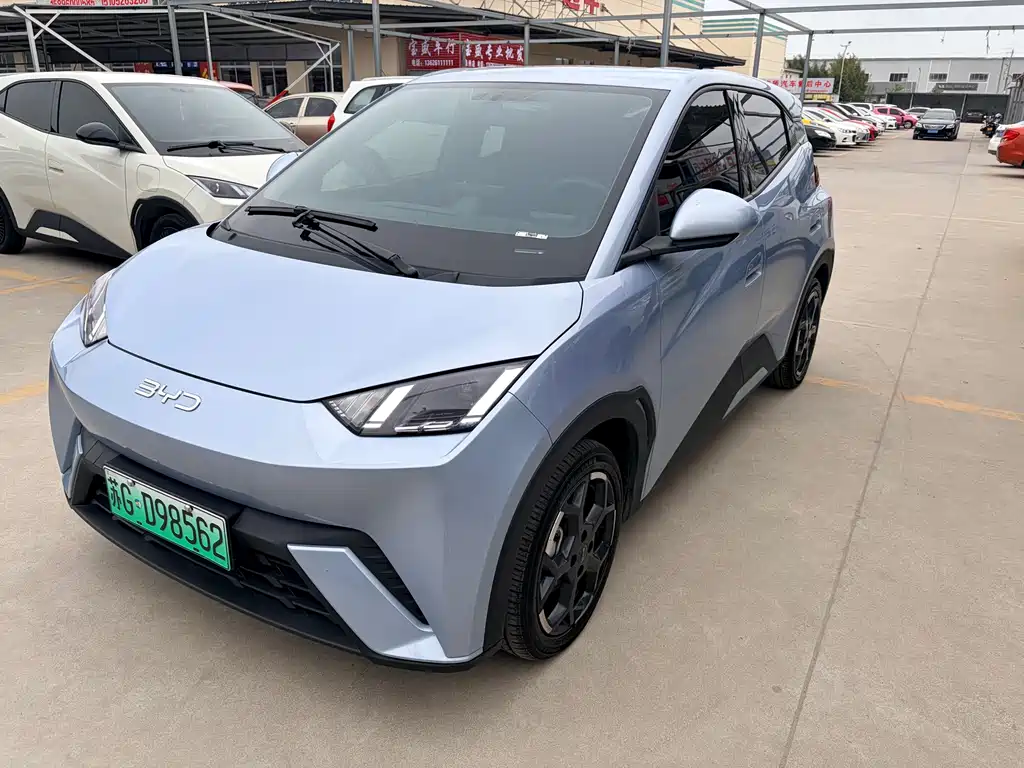 BYD BYD Seagull 2024 Honor Edition 405km Flying Edition 2024