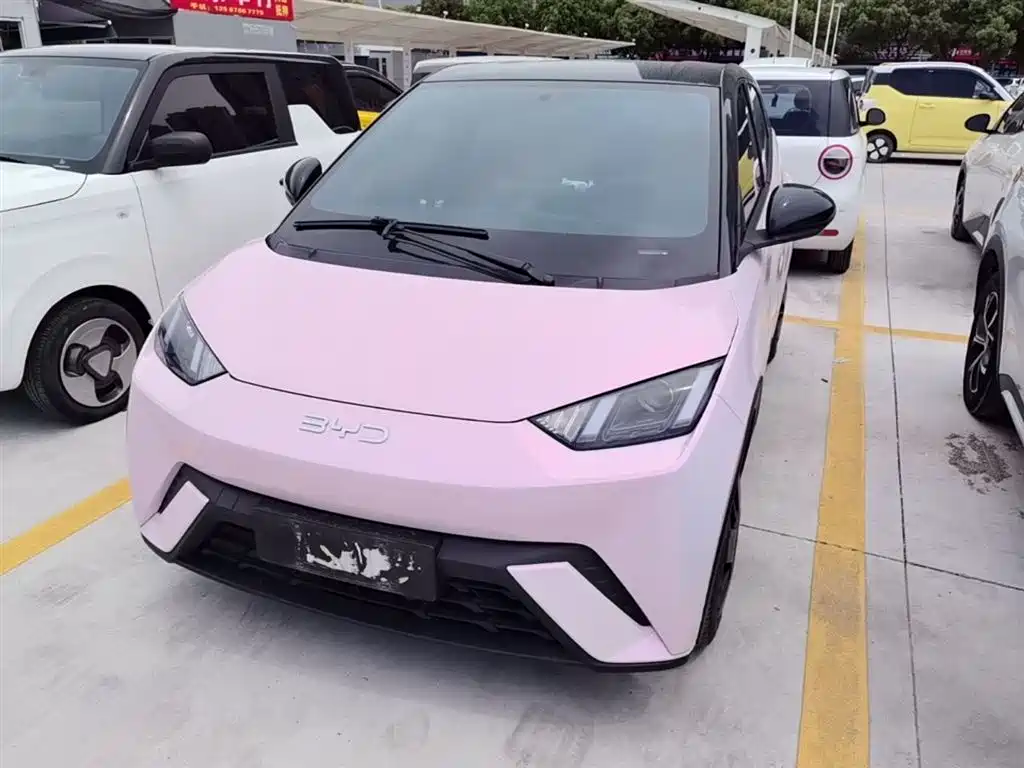 BYD BYD Seagull 2024 Honor Edition 305km Vitality Edition 2024 - thumbnail 2