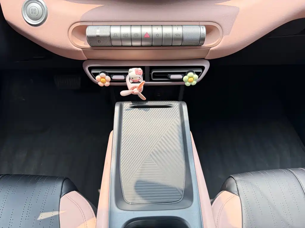 BYD BYD Seagull 2024 Honor Edition 305km Vitality 2024 - thumbnail 11