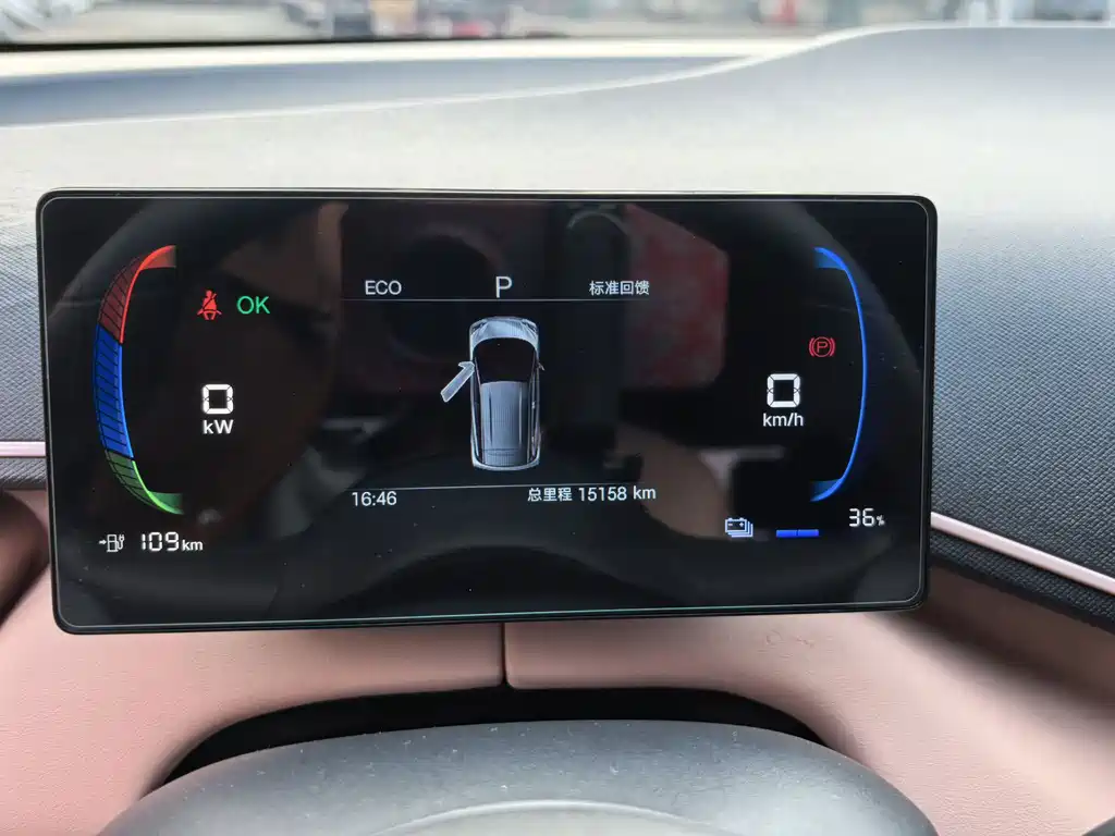 BYD Seagull 2025 305km Vitality Edition 2025 - thumbnail 13