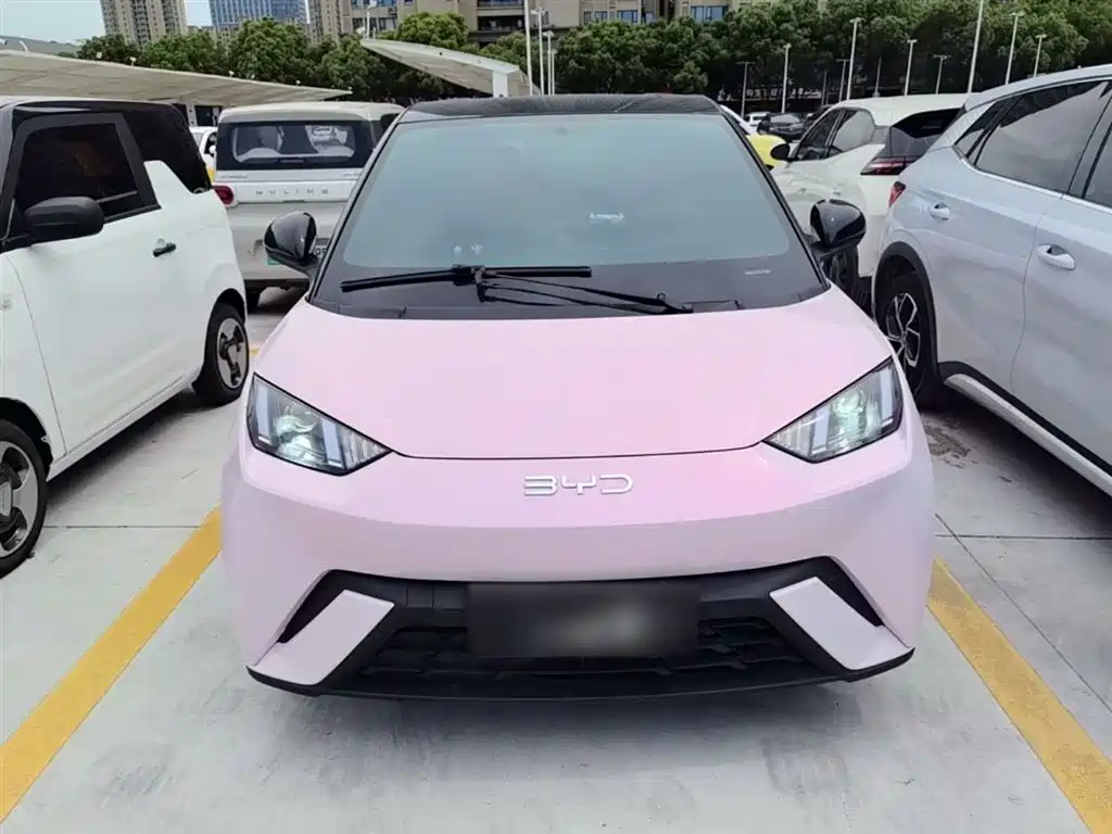BYD BYD Seagull 2024 Honor Edition 305km Vitality Edition 2024 - thumbnail 3