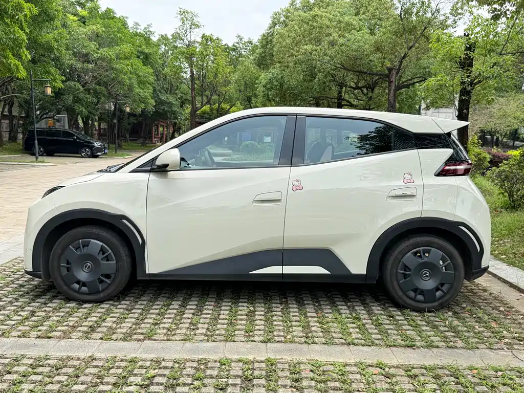 BYD BYD Seagull 2024 Honor Edition 305km Vitality 2024 - thumbnail 13