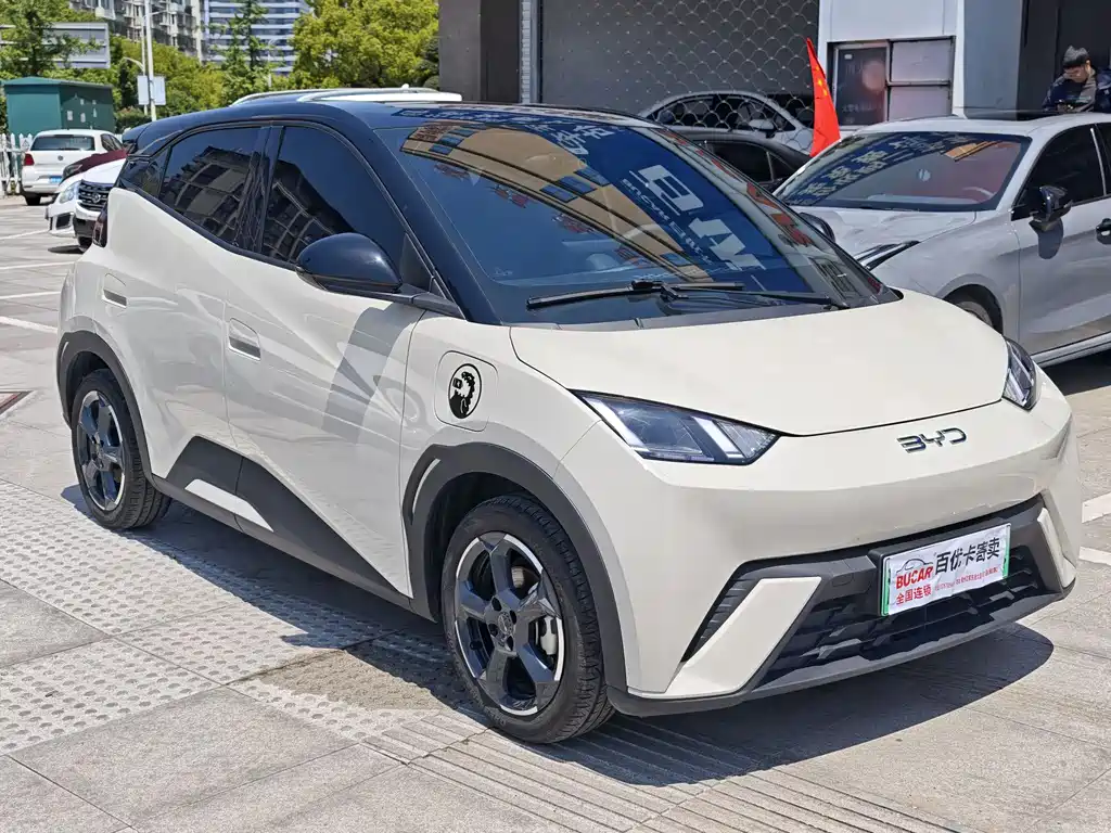 BYD Seagull 2024 Glory Edition 405km Flying Edition 2024 - thumbnail 6
