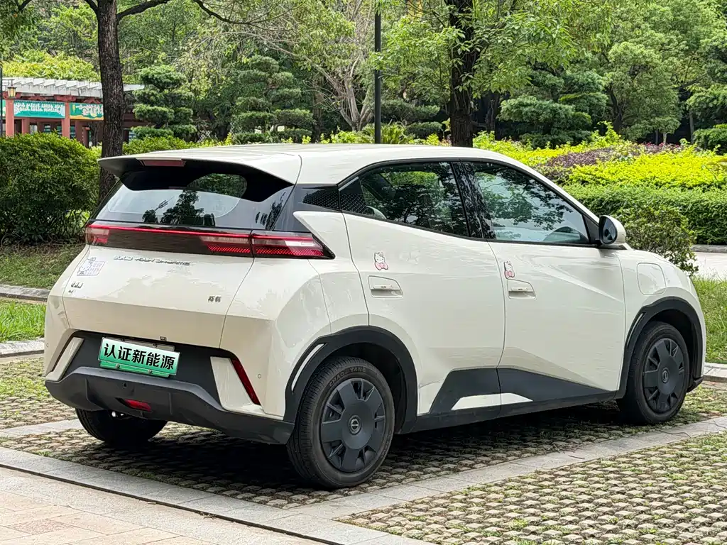 BYD BYD Seagull 2024 Honor Edition 305km Vitality 2024 - thumbnail 14