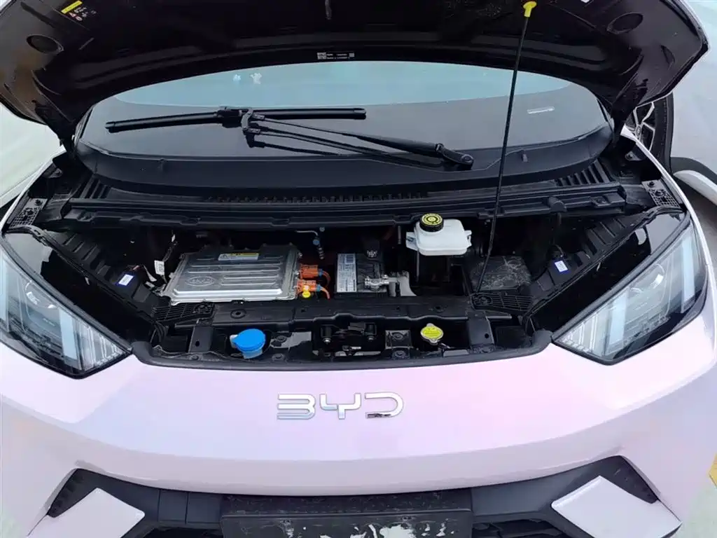 BYD BYD Seagull 2024 Honor Edition 305km Vitality Edition 2024 - thumbnail 20