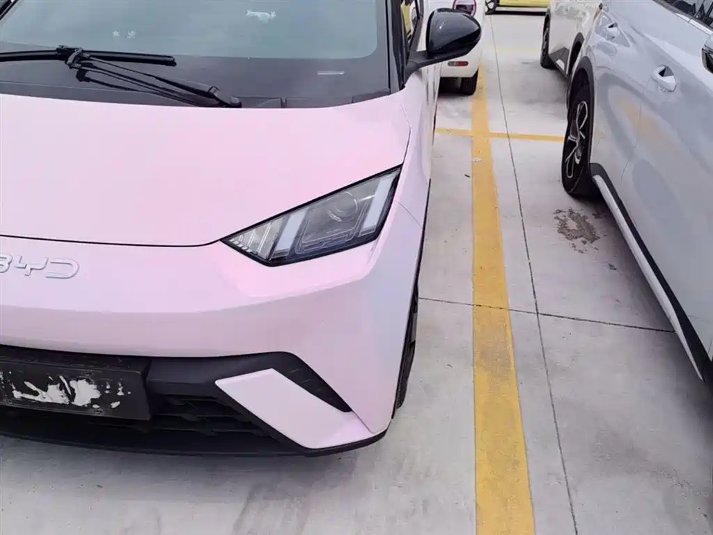 BYD BYD Seagull 2024 Honor Edition 305km Vitality Edition 2024 - thumbnail 24