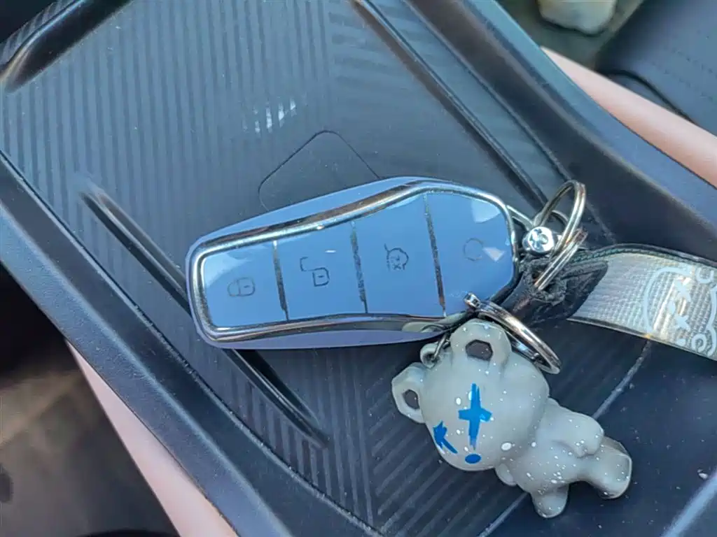 BYD BYD Seagull 2024 Honor Edition 405km Flying Edition 2024 - thumbnail 9