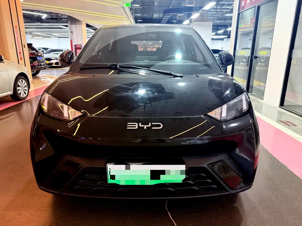 BYD BYD Seagull 2025 405km Flying Edition 2024 - thumbnail 2