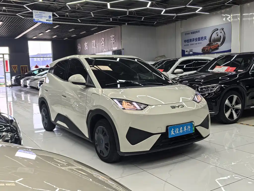 BYD BYD Seagull 2025 Intelligent Driving Edition 305km Vitality Edition 2025 - thumbnail 3