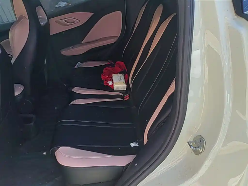 BYD BYD Seagull 2024 Honor Edition 405km Flying Edition 2024 - thumbnail 17