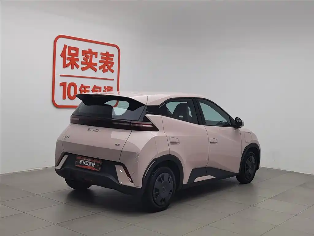 BYD BYD Seagull 2025 305km Vitality Edition 2024 - thumbnail 2