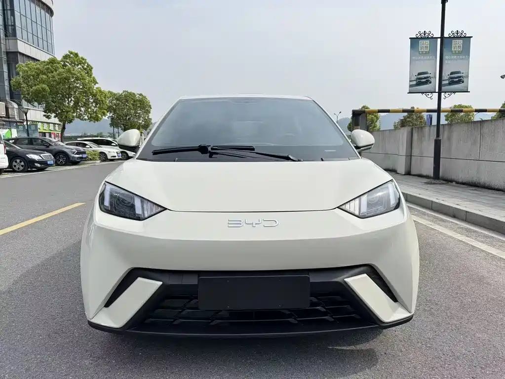 BYD Seagull 2025 305km Vitality Edition 2024 - thumbnail 2