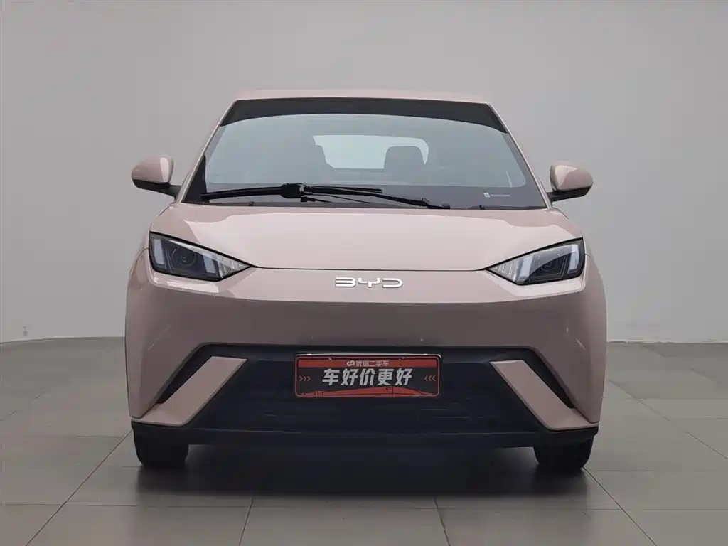 BYD BYD Seagull 2025 305km Vitality Edition 2024 - thumbnail 3