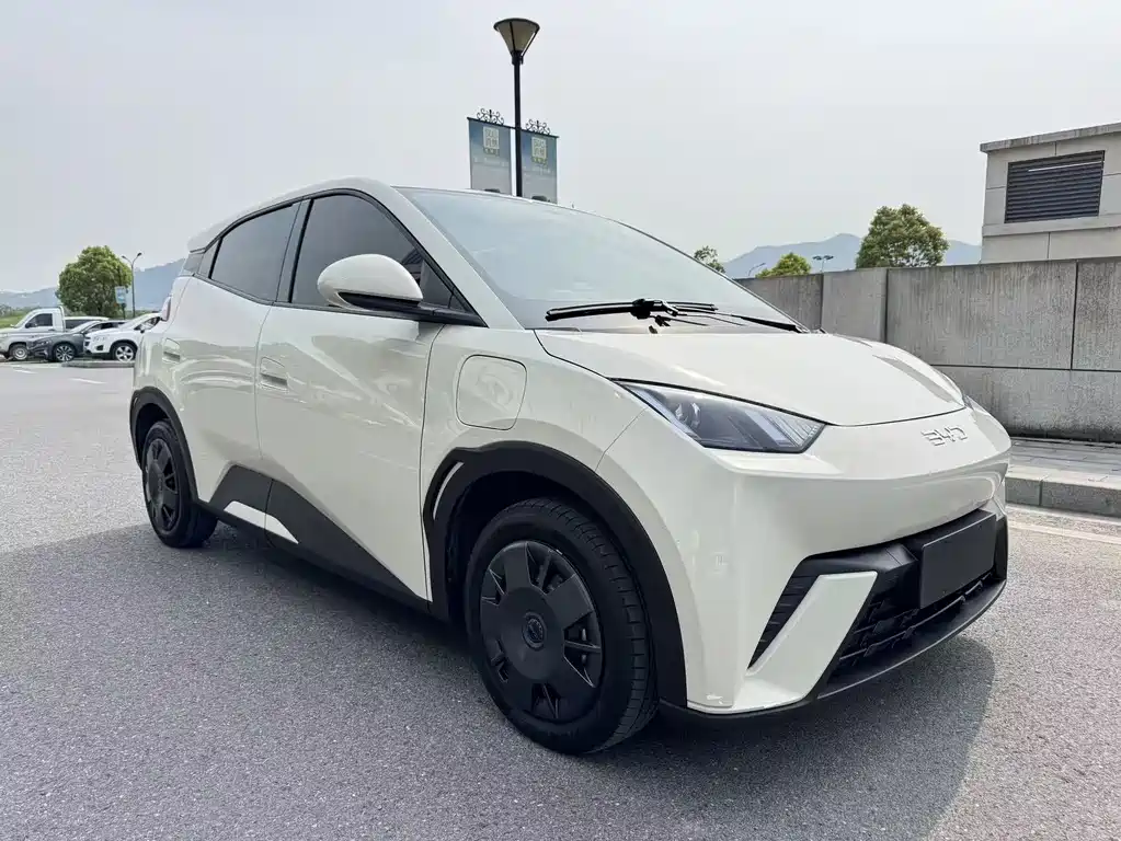 BYD Seagull 2025 305km Vitality Edition 2024 - thumbnail 3