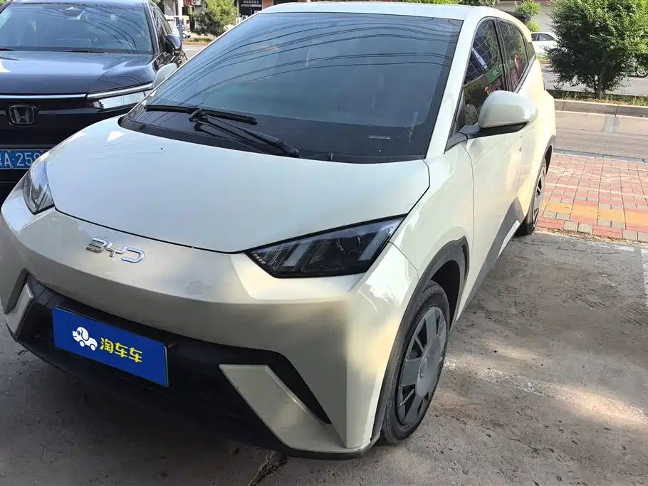 BYD BYD Seagull 2025 305km Vitality Edition 2025