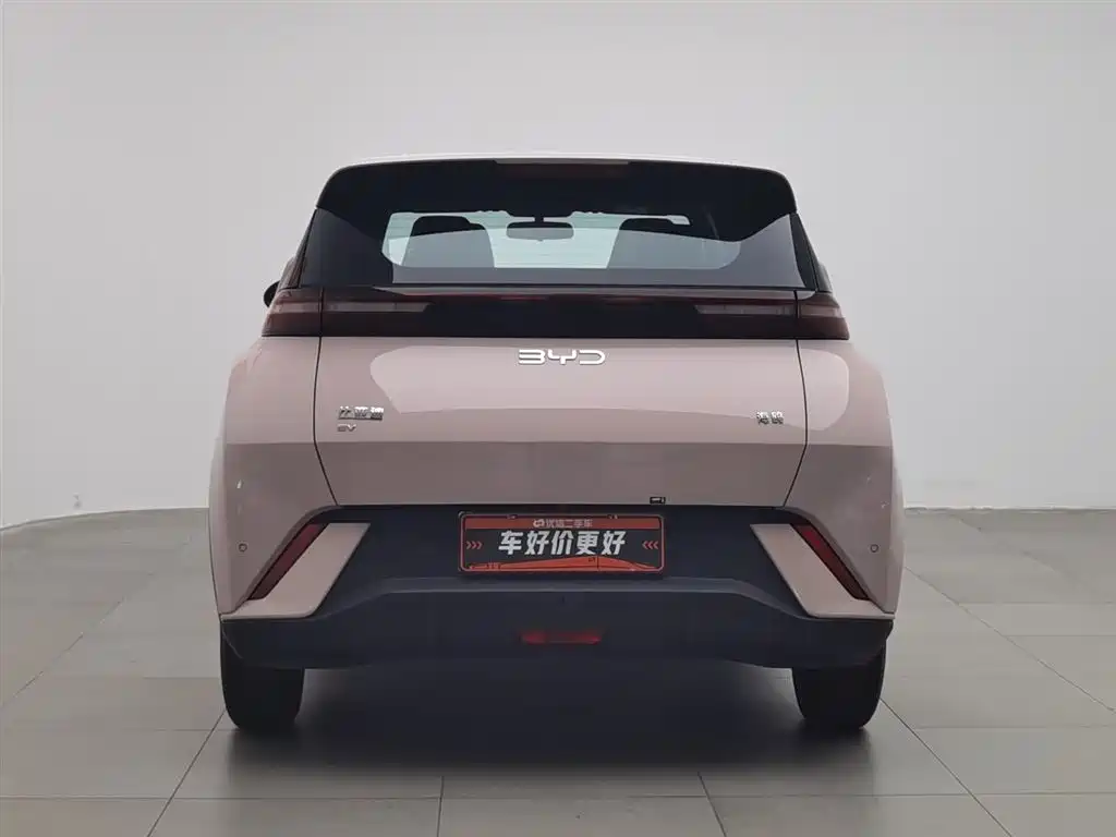 BYD BYD Seagull 2025 305km Vitality Edition 2024 - thumbnail 4