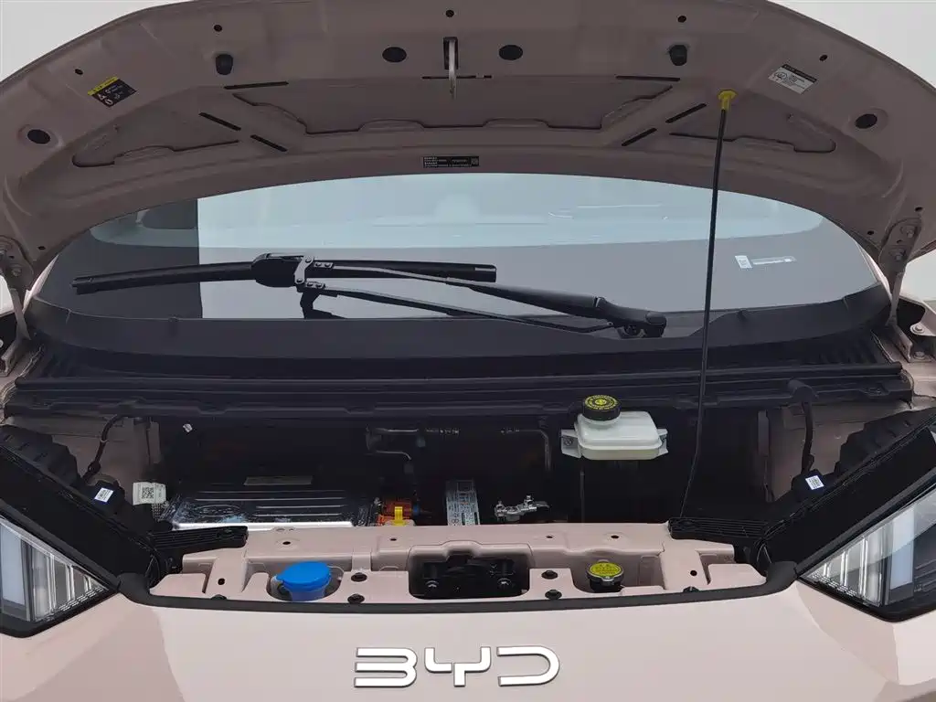BYD BYD Seagull 2025 305km Vitality Edition 2024 - thumbnail 6