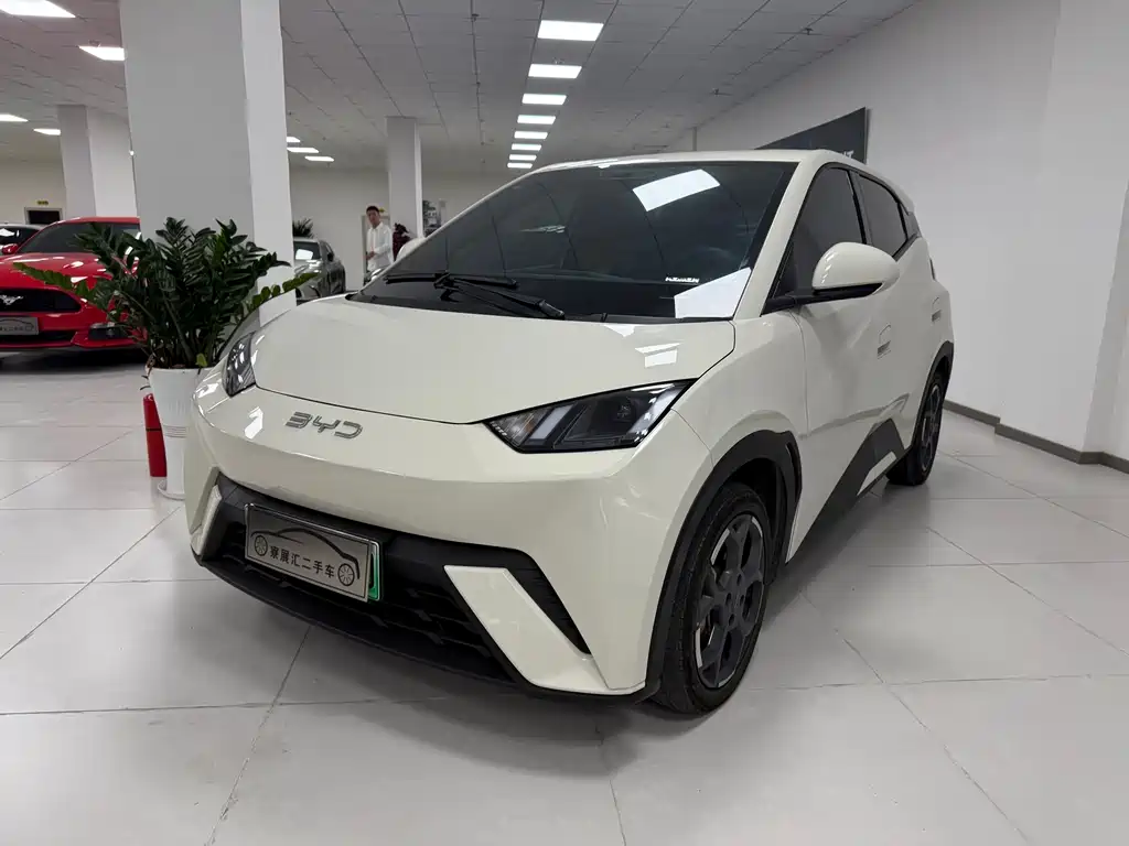 BYD BYD Seagull 2025 305km Vitality Edition 2024