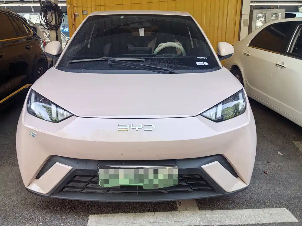 BYD BYD Seagull 2024 Honor Edition 305km Vitality Edition 2025 - thumbnail 2