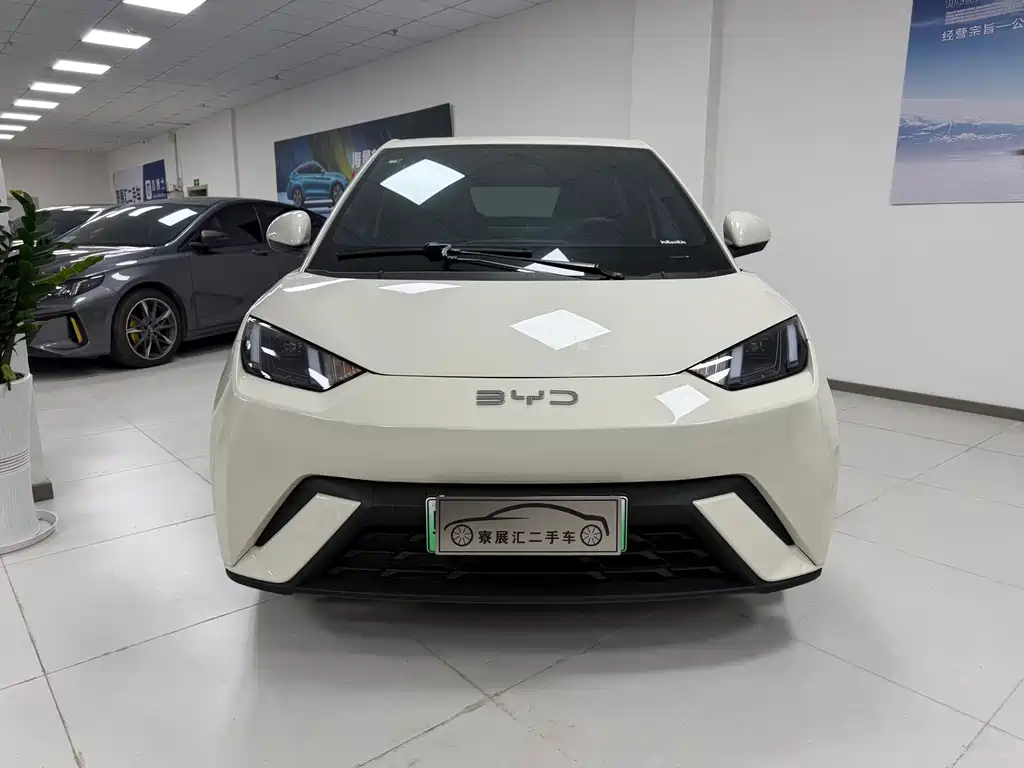 BYD BYD Seagull 2025 305km Vitality Edition 2024 - thumbnail 2