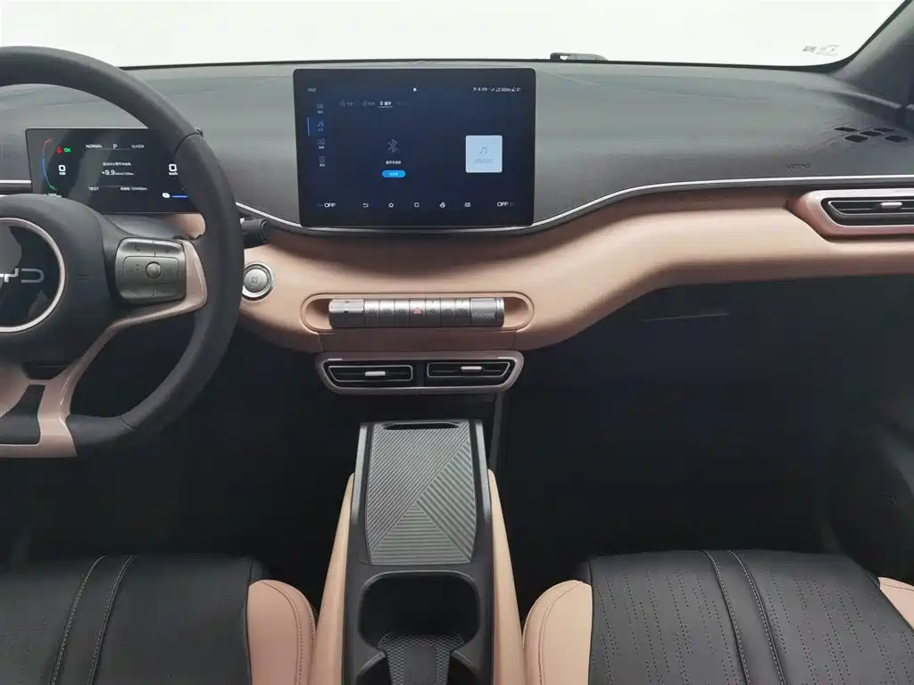 BYD BYD Seagull 2025 305km Vitality Edition 2024 - thumbnail 12