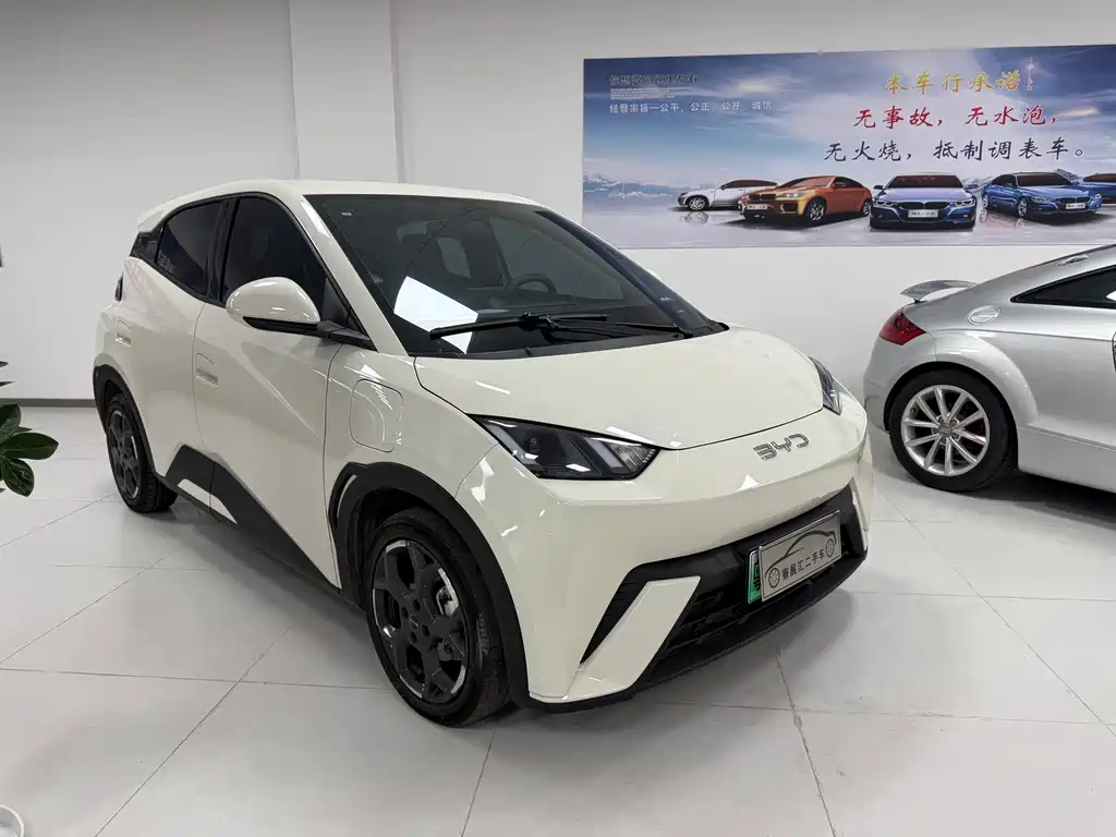 BYD BYD Seagull 2025 305km Vitality Edition 2024 - thumbnail 3