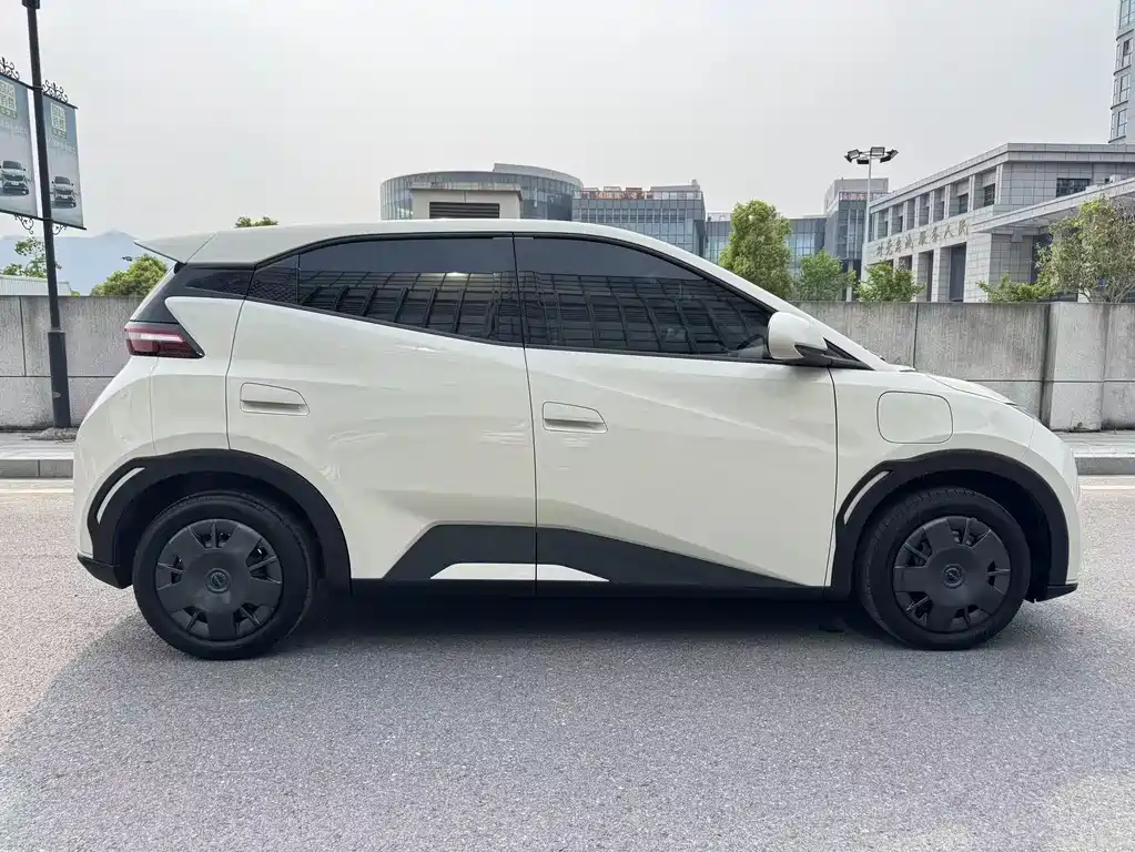 BYD Seagull 2025 305km Vitality Edition 2024 - thumbnail 13