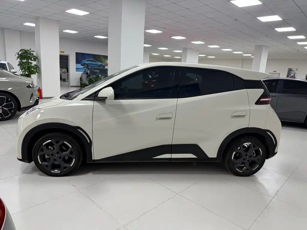 BYD BYD Seagull 2025 305km Vitality Edition 2024 - thumbnail 8