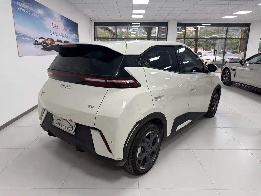 BYD BYD Seagull 2025 305km Vitality Edition 2024 - thumbnail 10