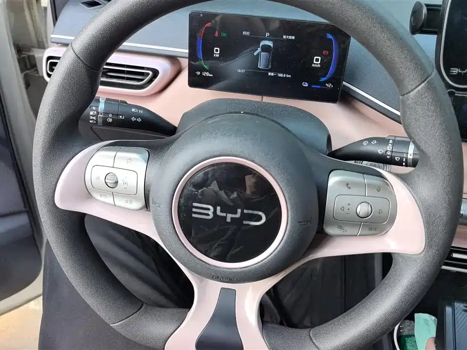 BYD BYD Seagull 2025 305km Vitality Edition 2025 - thumbnail 15