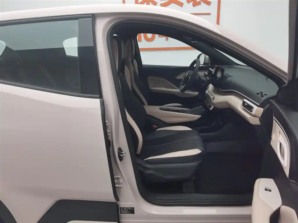 BYD BYD Seagull 2025 305km Vitality Edition 2024 - thumbnail 23