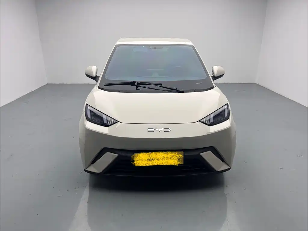BYD BYD Seagull 2025 305km Vitality Edition 2024 - thumbnail 2