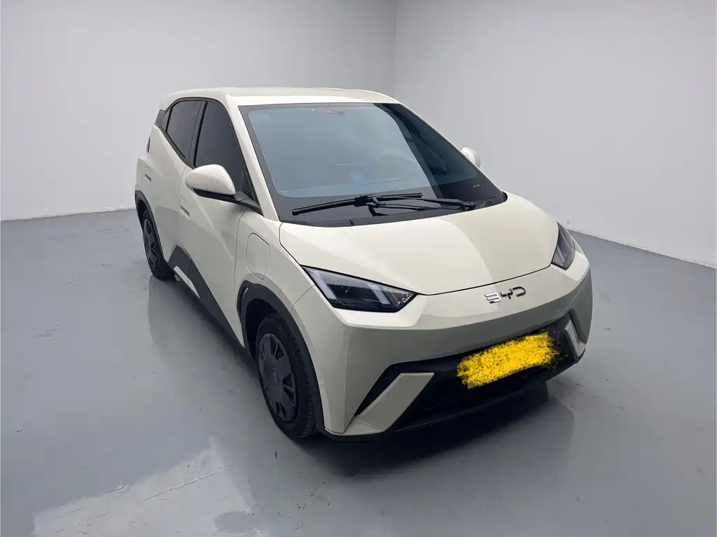 BYD BYD Seagull 2025 305km Vitality Edition 2024 - thumbnail 3