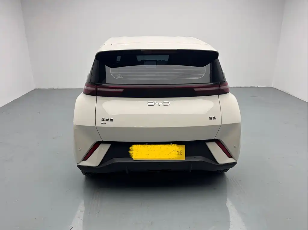 BYD BYD Seagull 2025 305km Vitality Edition 2024 - thumbnail 5