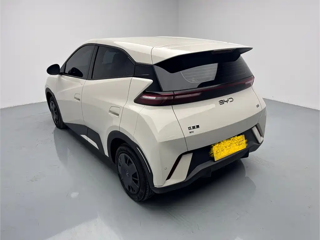 BYD BYD Seagull 2025 305km Vitality Edition 2024 - thumbnail 6