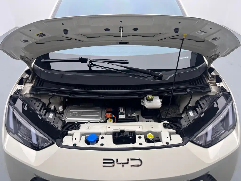 BYD BYD Seagull 2025 305km Vitality Edition 2024 - thumbnail 9
