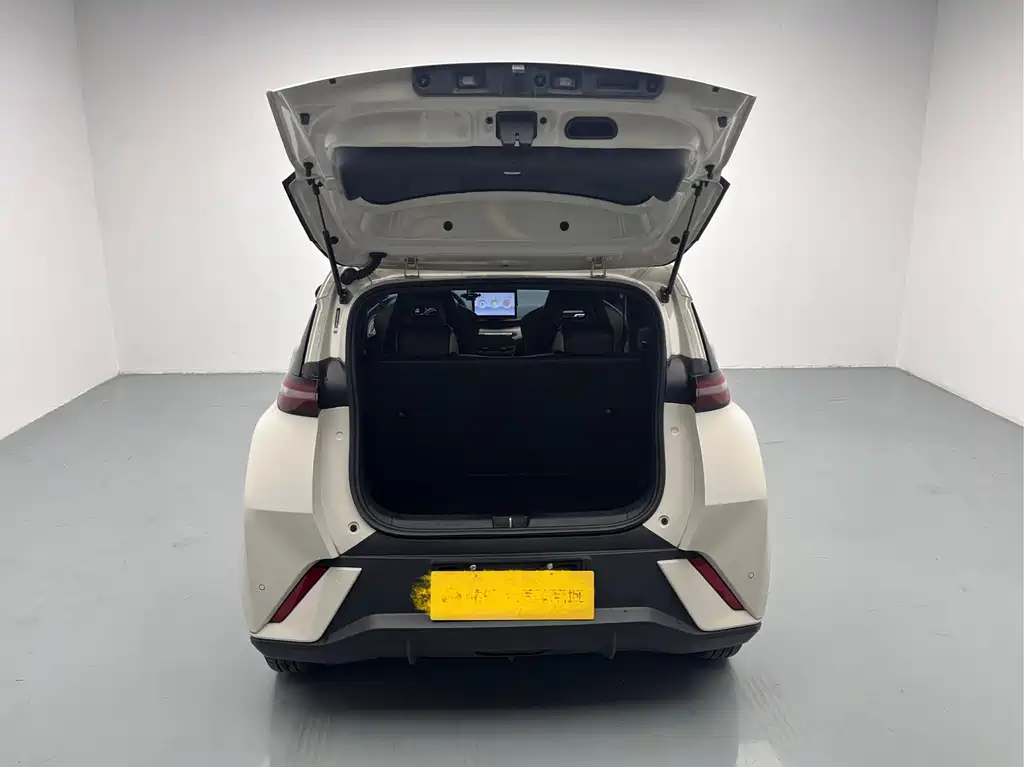 BYD BYD Seagull 2025 305km Vitality Edition 2024 - thumbnail 10