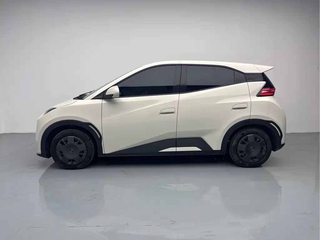 BYD BYD Seagull 2025 305km Vitality Edition 2024 - thumbnail 11