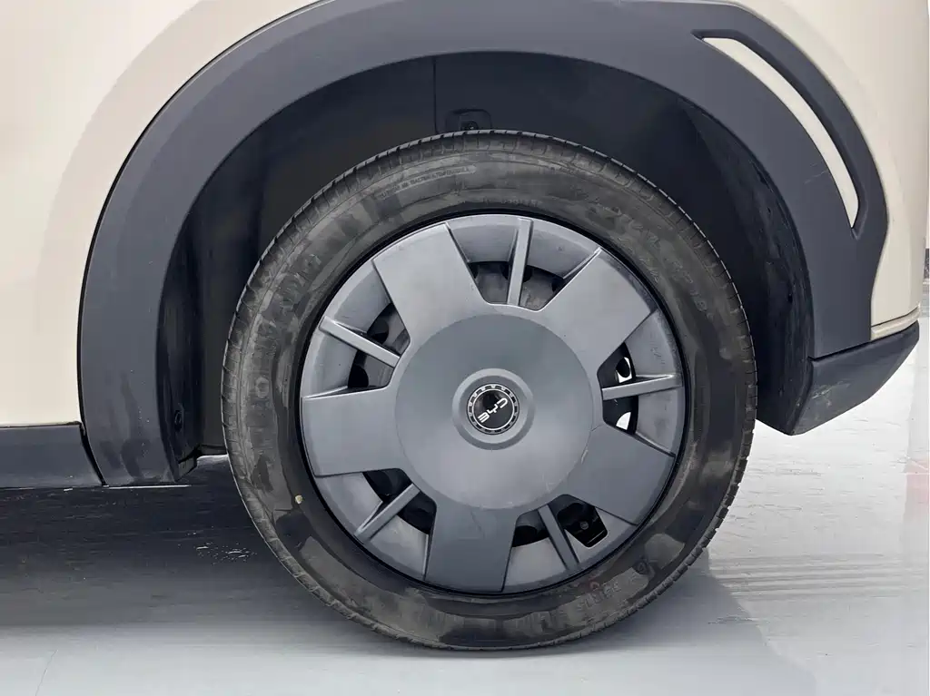 BYD BYD Seagull 2025 305km Vitality Edition 2024 - thumbnail 13