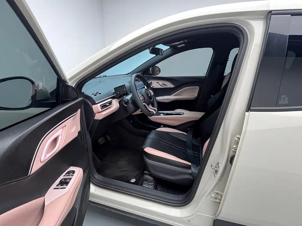BYD BYD Seagull 2025 305km Vitality Edition 2024 - thumbnail 15