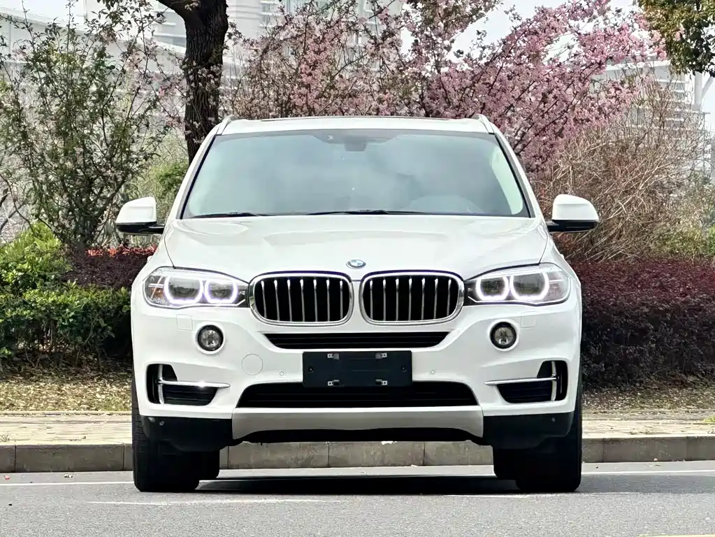 BMW BMW X5 (Import) 2015 xDrive28i 2017 - thumbnail 4