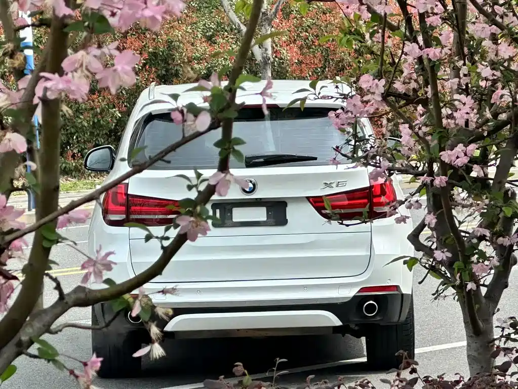 BMW BMW X5 (Import) 2015 xDrive28i 2017 - thumbnail 8