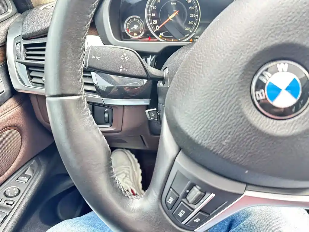BMW BMW X5 (Import) 2015 xDrive28i 2017 - thumbnail 20