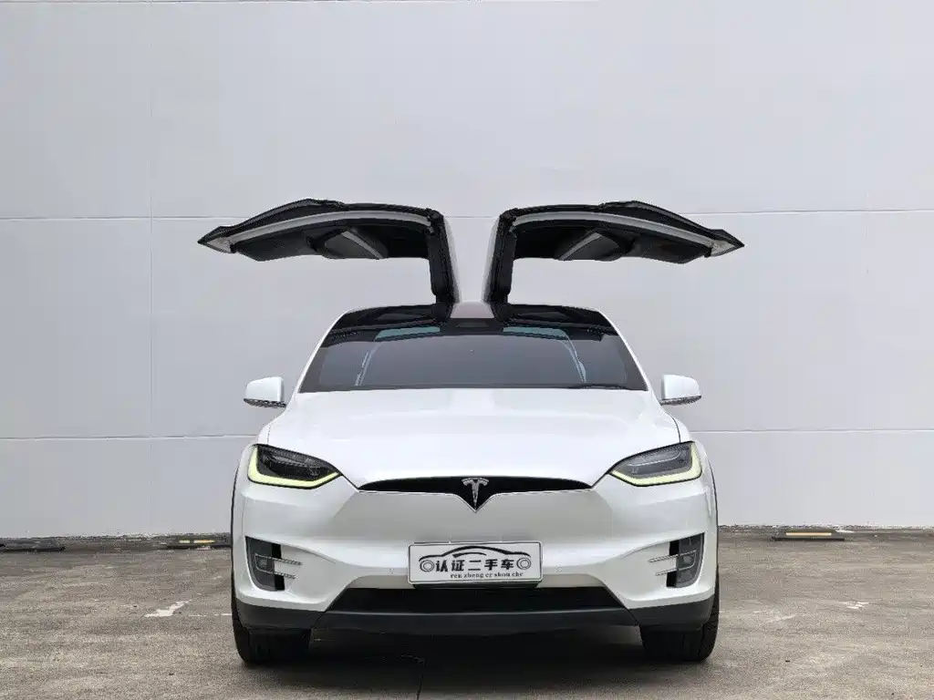 Tesla Tesla Model X 2019 Performance 2019 - thumbnail 2
