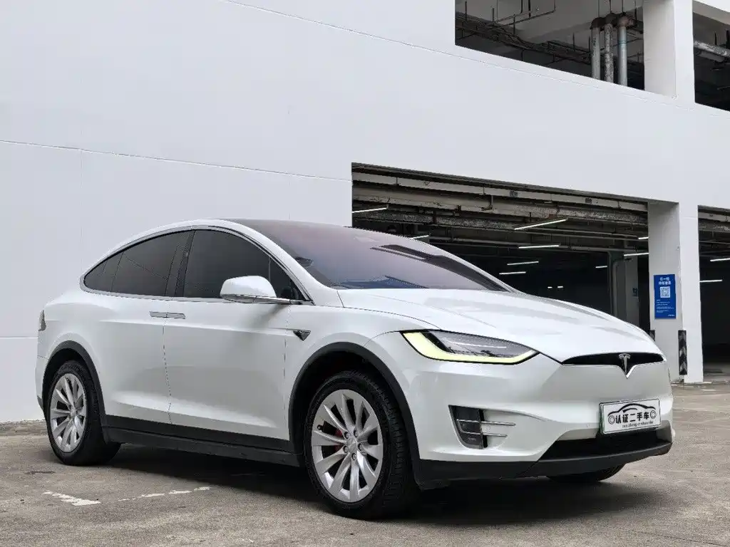 Tesla Tesla Model X 2019 Performance 2019 - thumbnail 3